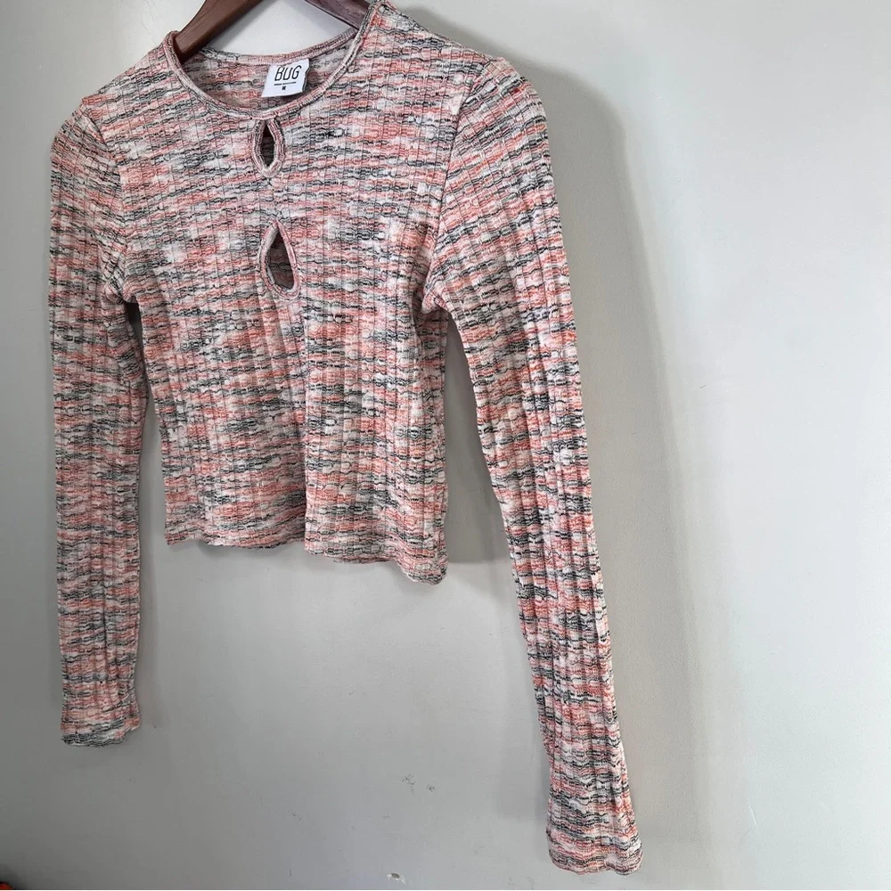 BDG Urban Outfitters Multicolor Long Sleeve Crop Top
